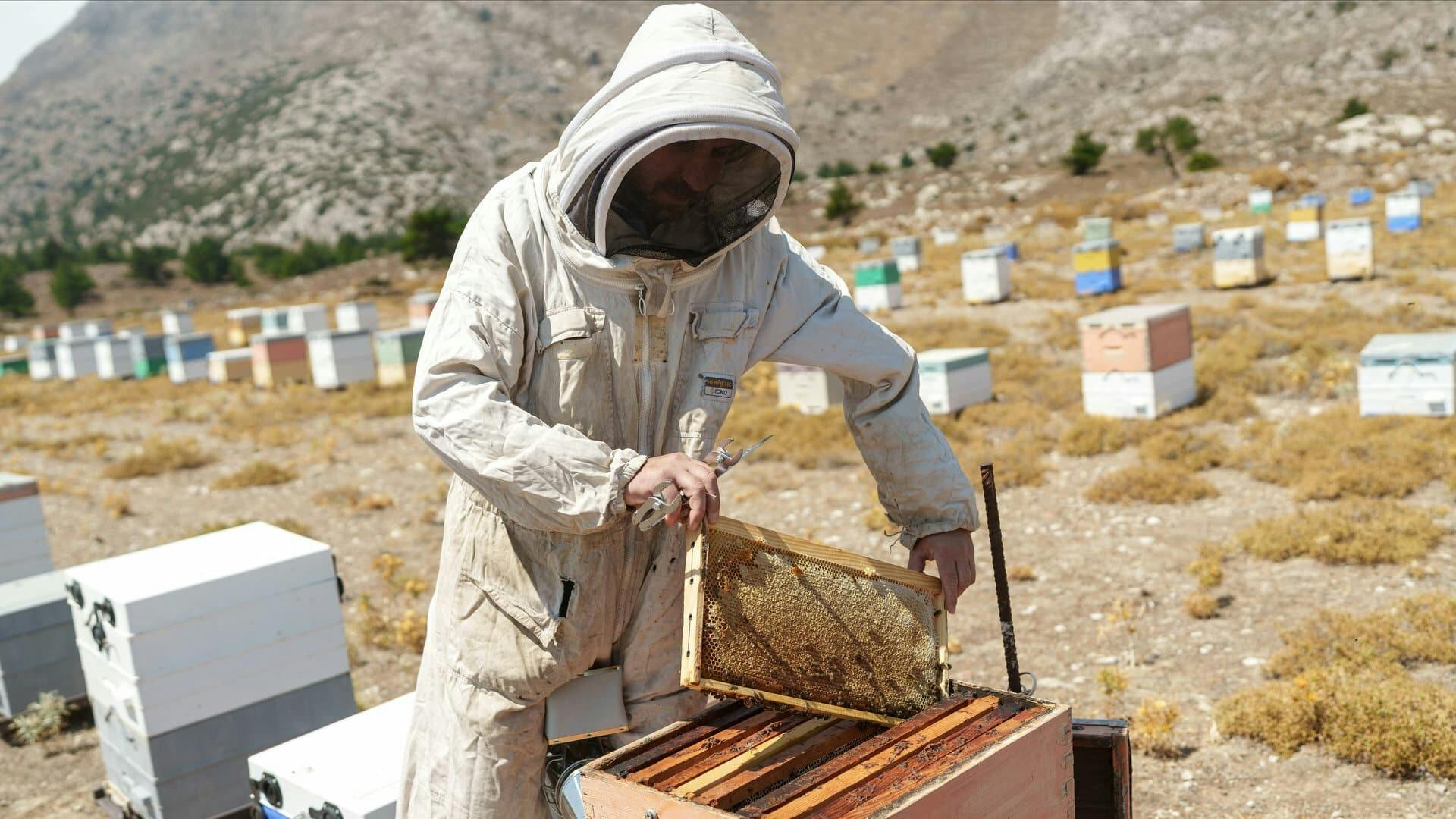 Karpathos wine, honey and tastes of Menetes tour in Greece