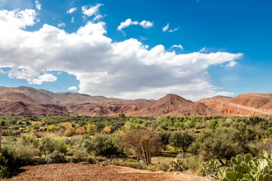 Road of the Kasbahs 4x4 Tour with Lunch in Aït Benhaddou