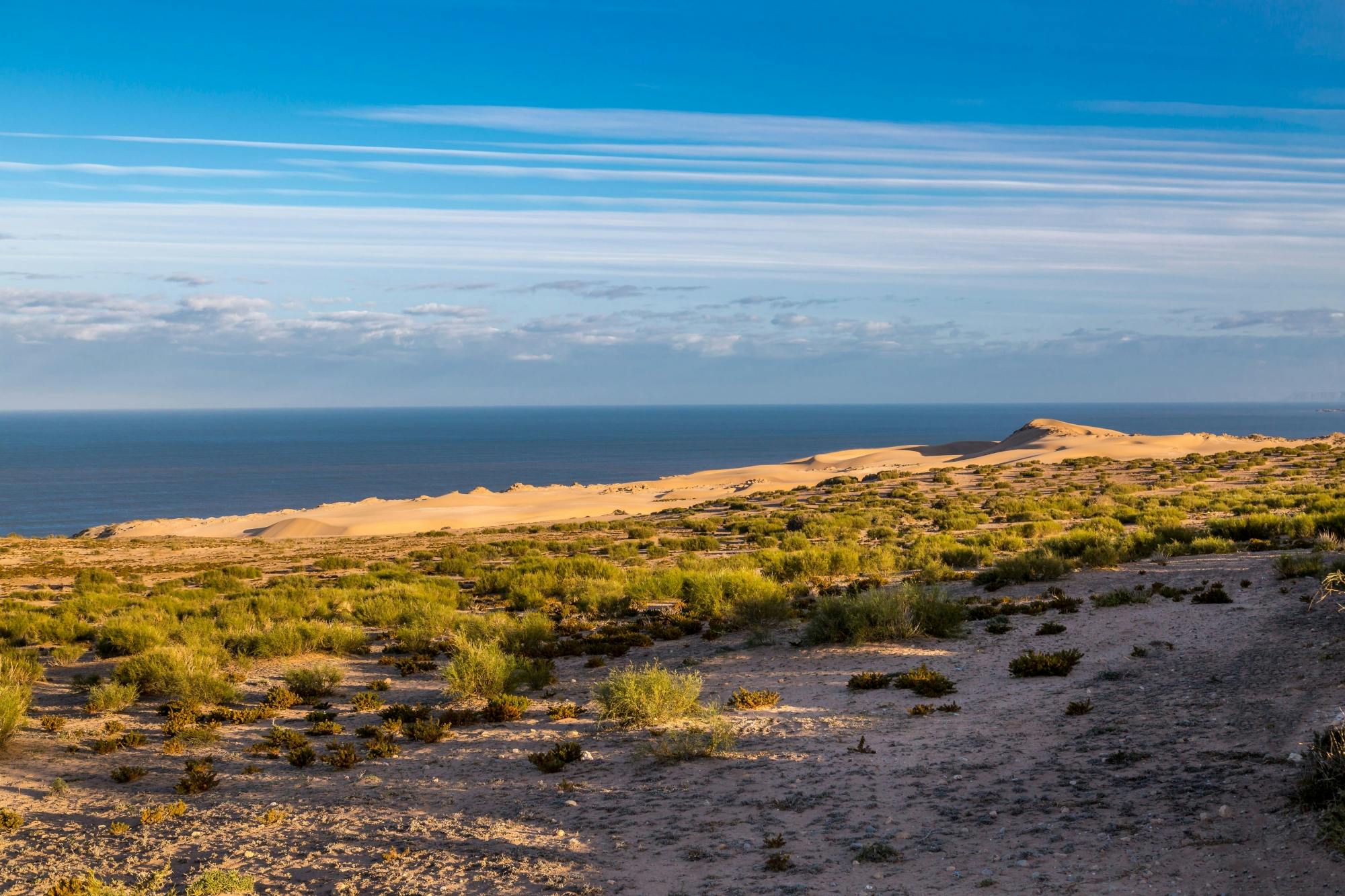 Essaouira medina and harbour tour with argan coop Visit