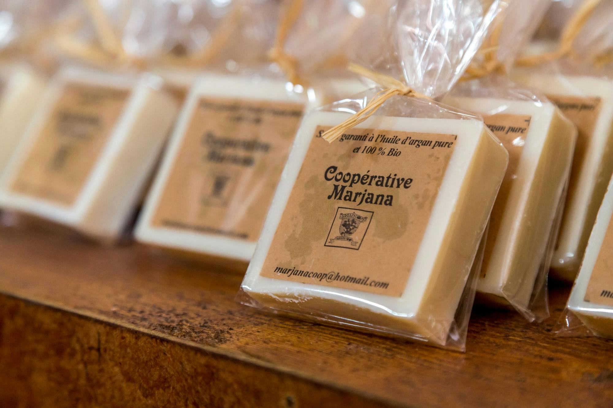 Essaouira medina and harbour tour with argan coop Visit