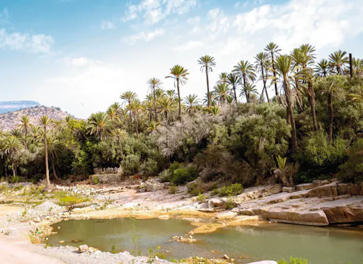 Guided tour of Tiout and Taroudant in Morocco