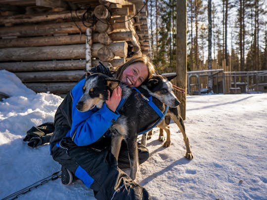 Self-Driving Husky Mushing Winter Adventure with BBQ from Rovaniemi