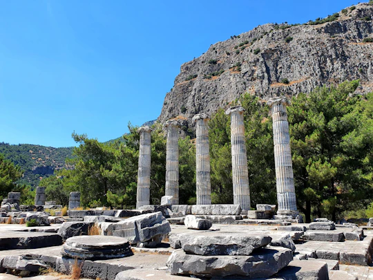 Miletos tour and Temple of Apollo visit