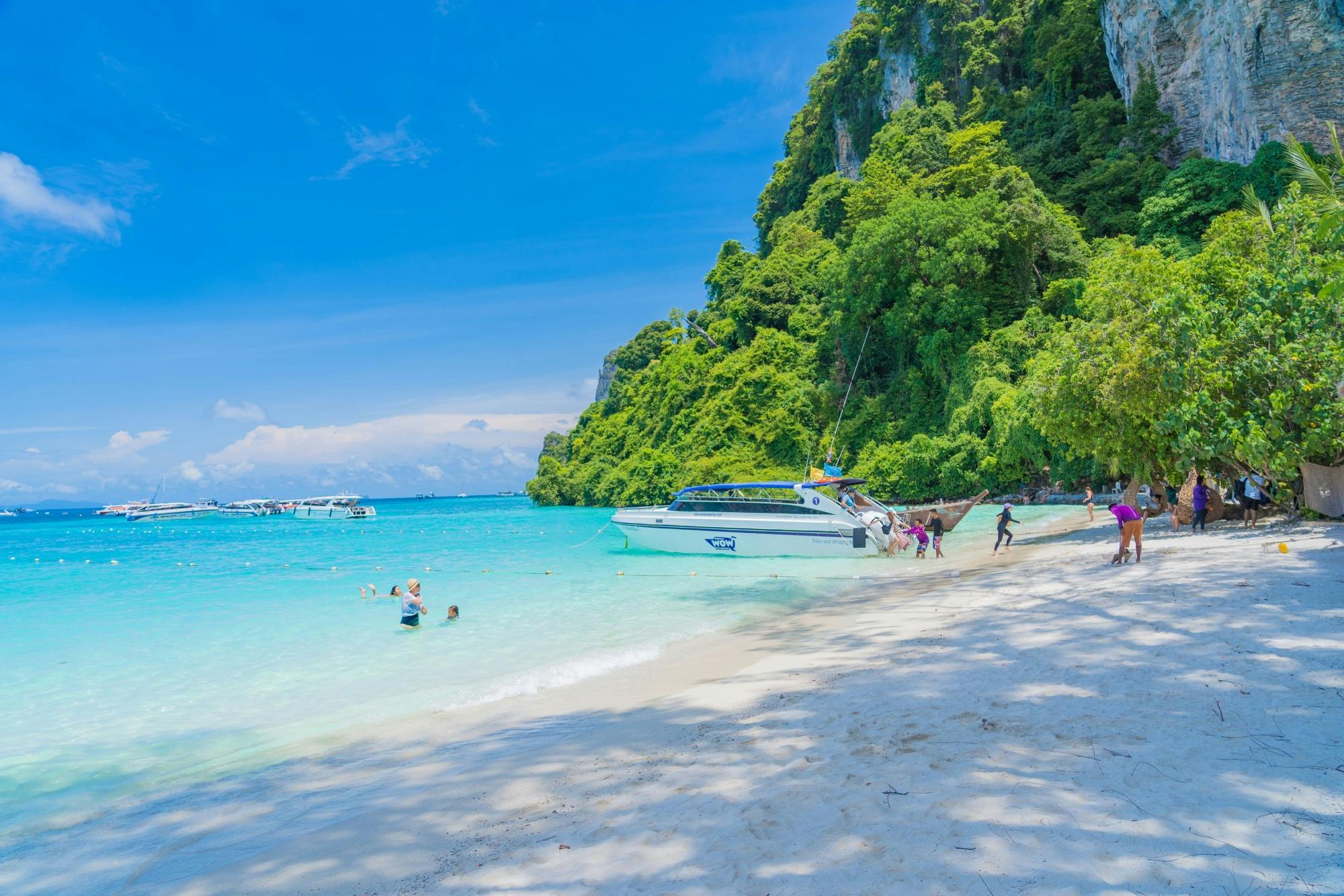 Full-day Phi Phi and Bamboo Islands tour by speed catamaran from Khao Lak