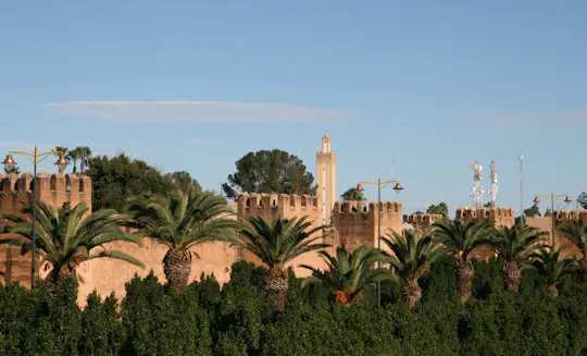 Taroudant Halbtägiger Ausflug