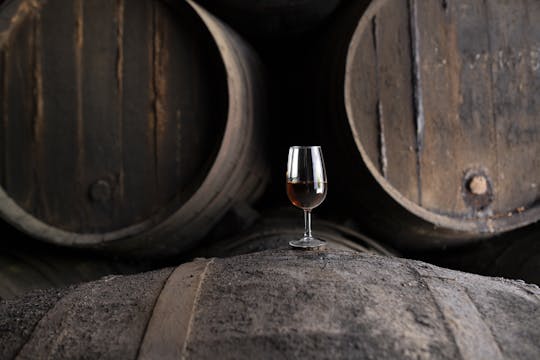 Seville Bodegas Góngora classic tour with tasting experience
