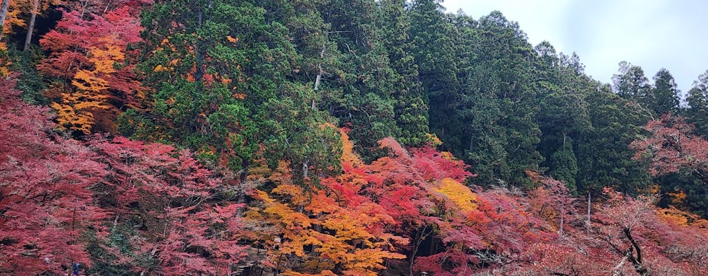Eihōji and Kōrankei guided day tour