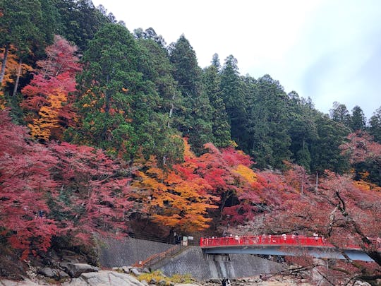 Eihōji and Kōrankei guided day tour