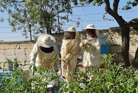 Beekeeping experience and honey tasting in Cappadocia