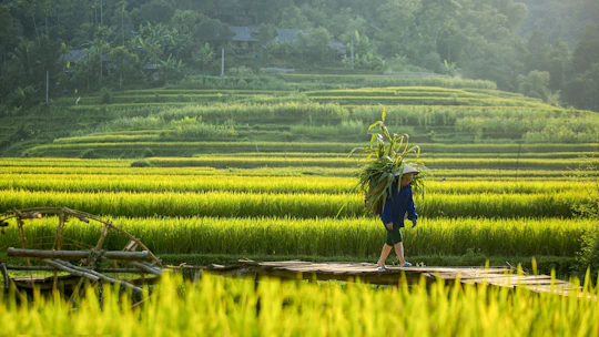 Full day excursion to Pu Luong with pick-up from Hanoi
