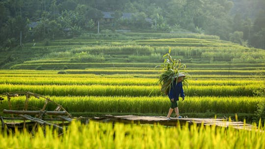 Full day excursion to Pu Luong with pick-up from Hanoi