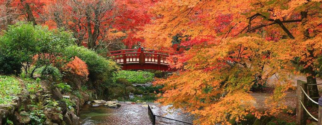 Atami Plum Garden and Shuzenji Onsen guided autumn tour