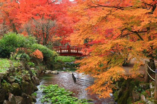 Atami Plum Garden and Shuzenji Onsen guided autumn tour