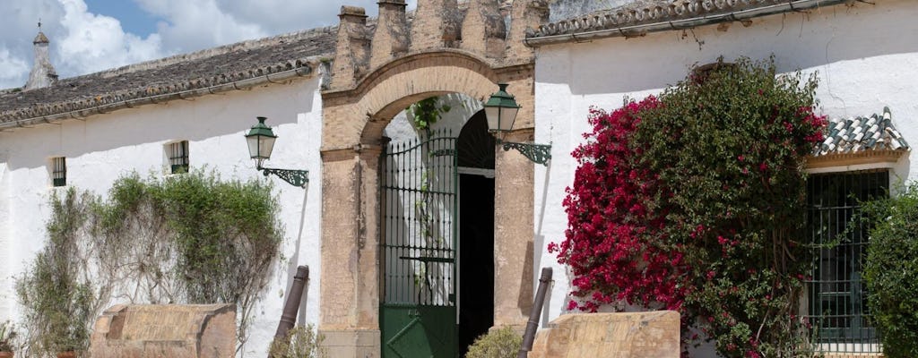Seville Bodegas Góngora sensory tour with tasting experience