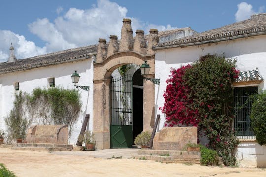 Seville Bodegas Góngora sensory tour with tasting experience