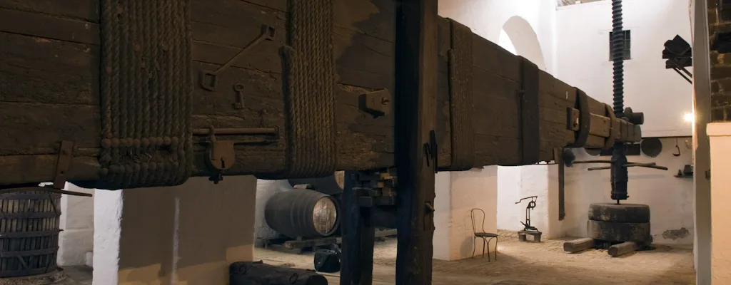 Premium sensory wine tour in Seville area (Bodegas Góngora) — historic cellar setting
