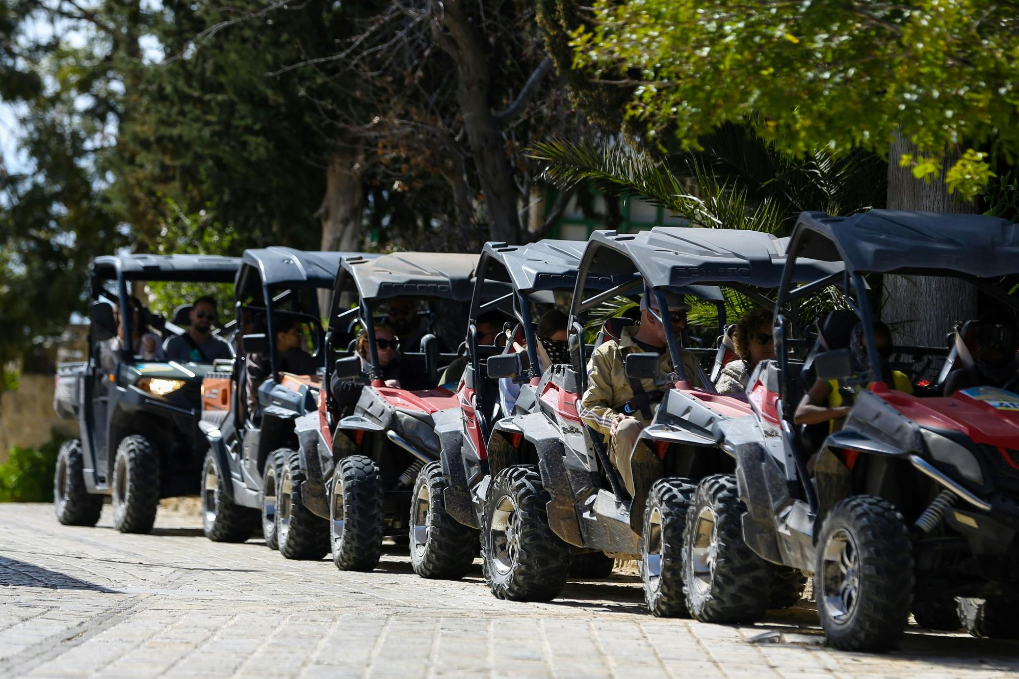 5-timmars buggy-tur till Akamas nationalpark