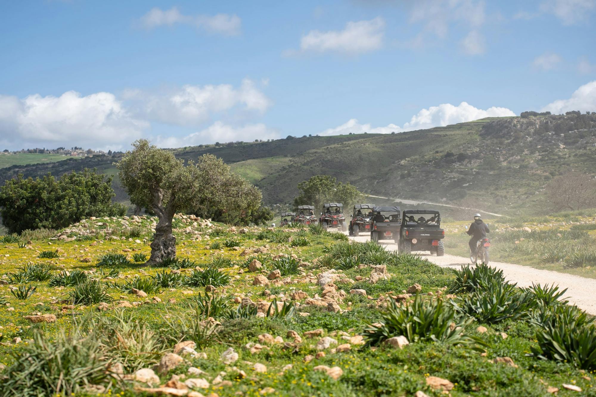 Five-Hour Buggy Tour to Akamas National Park