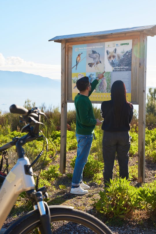 E-bike on Vesuvius among volcanic landscapes