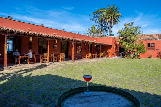 Nat Geo Day Tour: Wine in the Canary Islands - a sensory experience