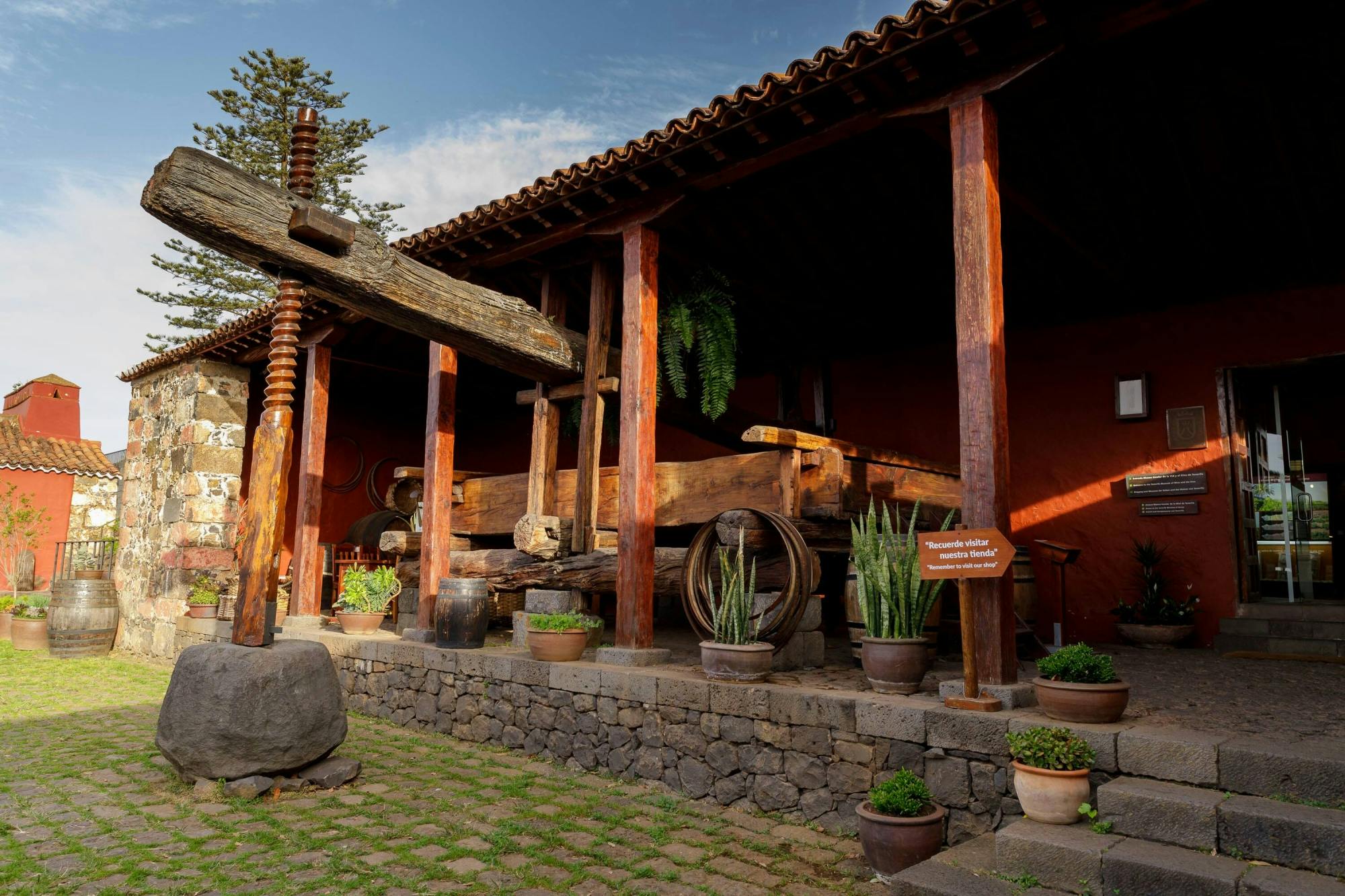 Nat Geo Day Tour: Wine in the Canary Islands - a sensory experience