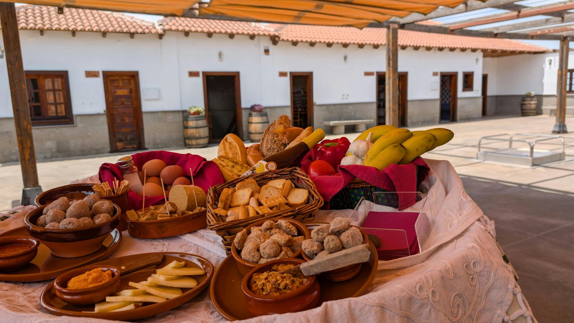 Nat Geo Day Tour: Wine in the Canary Islands - a sensory experience