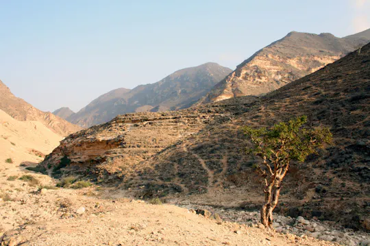 Explorador de Salalah de dia inteiro, destaques leste e oeste