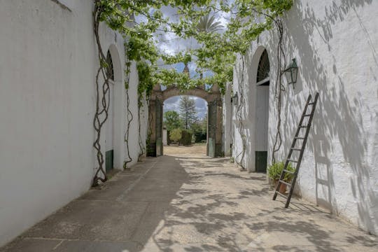Seville Bodegas Góngora premium tour with tasting experience