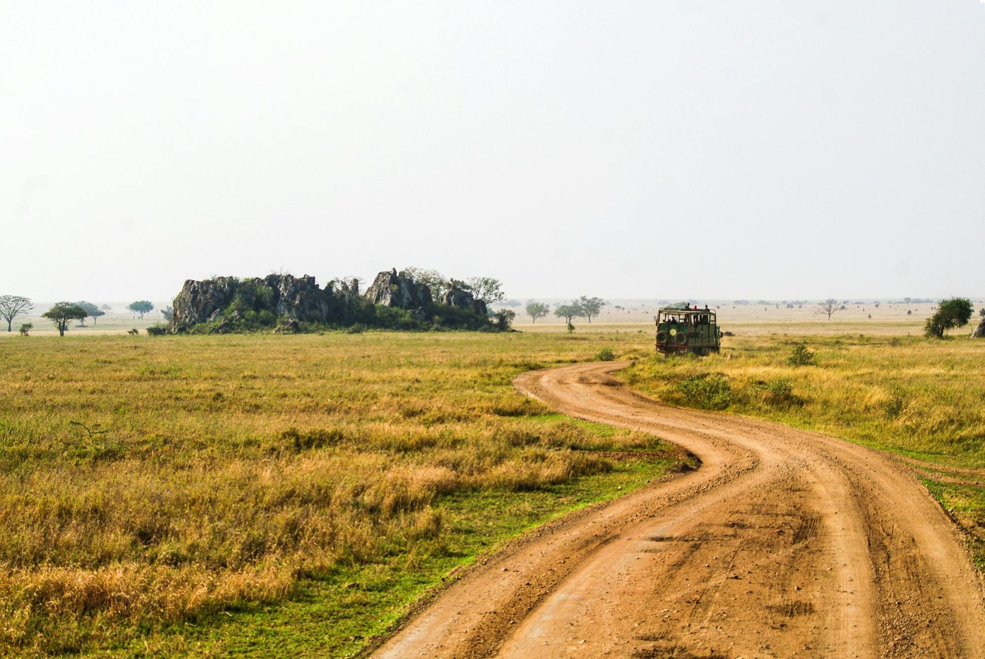 Nyerere National Park two-day safari with two game drives