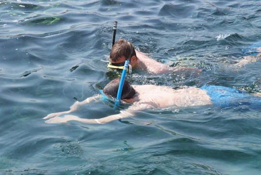 Snorkeling tour in Salalah