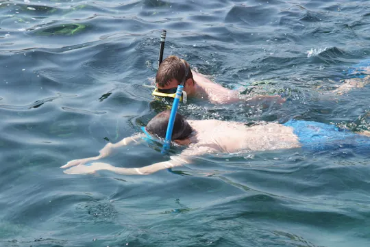 Snorkeling tour in Salalah