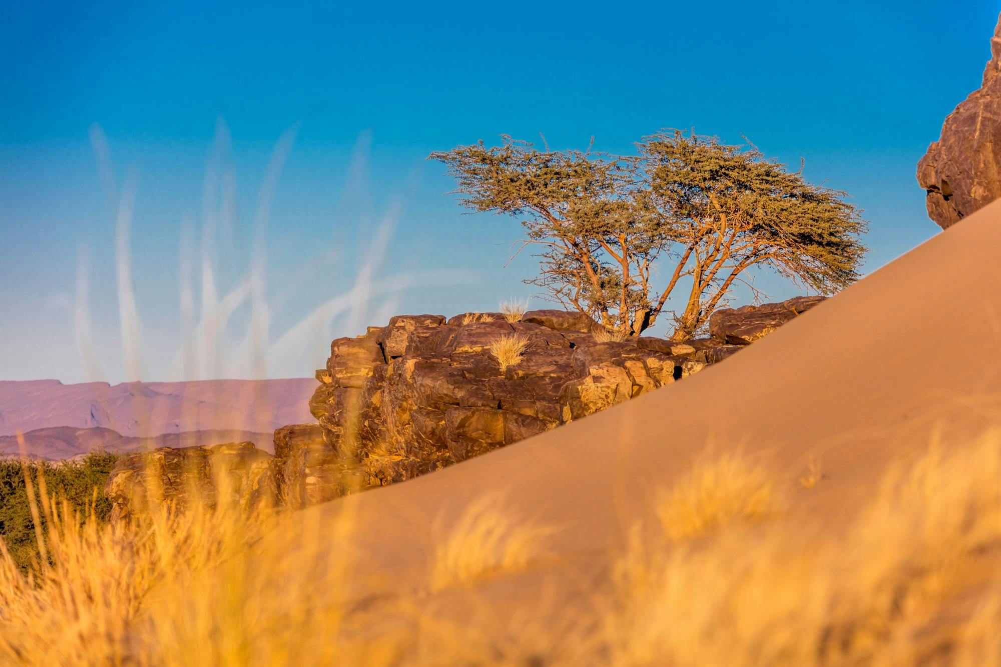 Sea, Dunes &and Tiznit Off-Road Tour