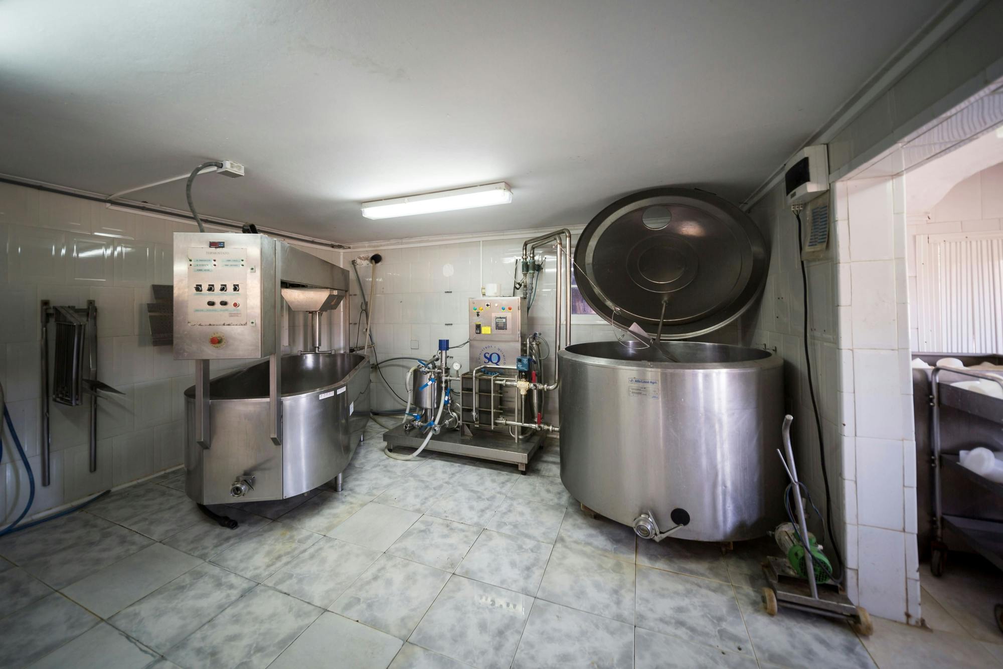 Fuerteventura farm, caves and rural villages tour with lunch