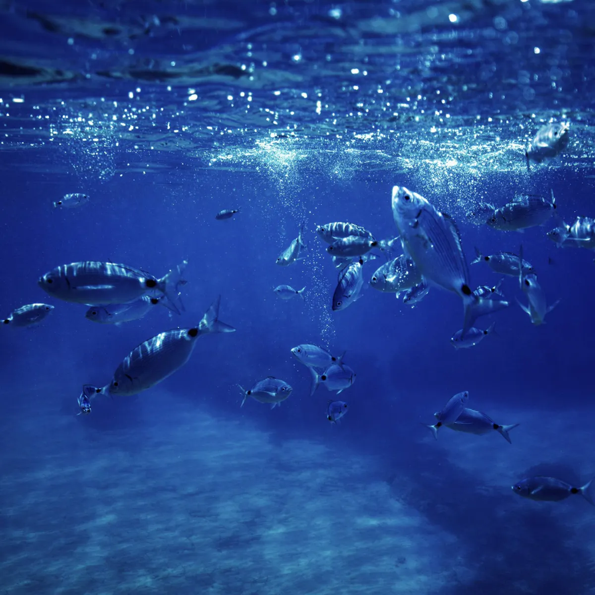 Boat trip to Menorca’s hidden beaches from Cala Galdana