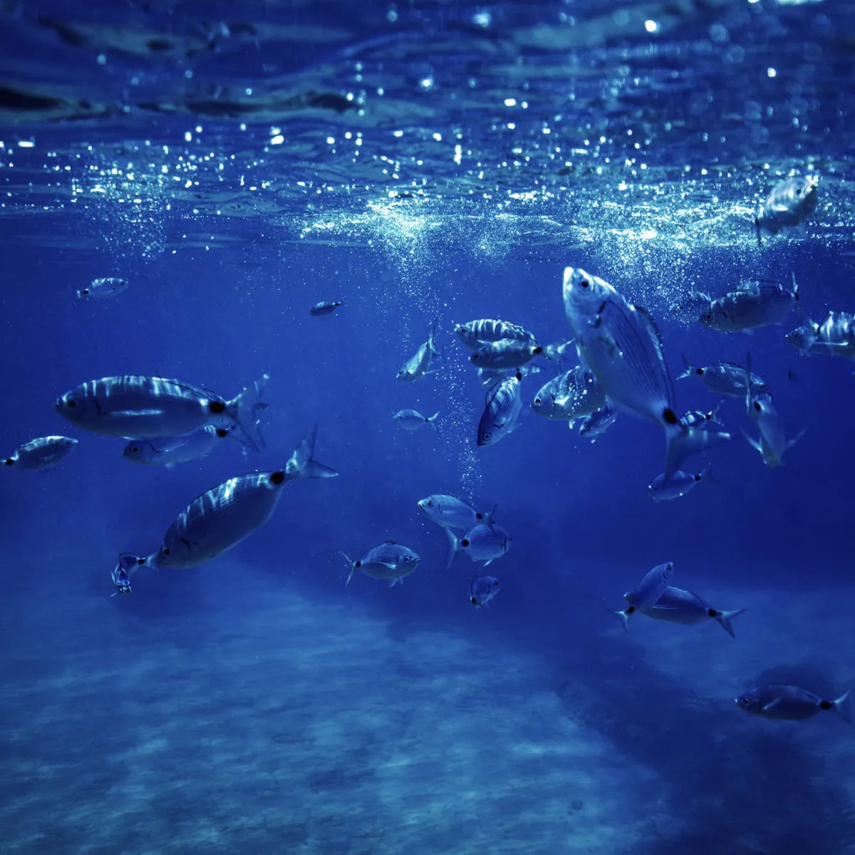 Boat trip to Menorca’s hidden beaches from Cala Galdana