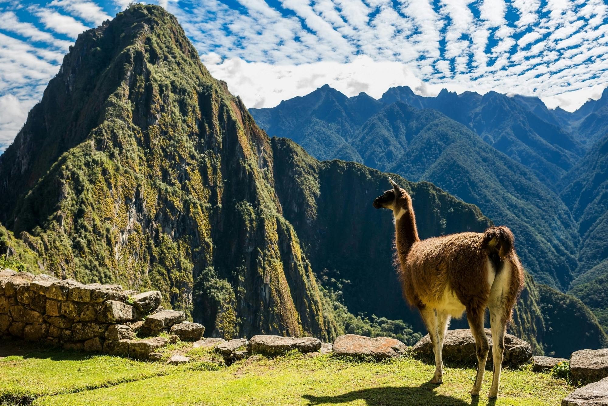 Guided tour of Machu Picchu citadel including entrance