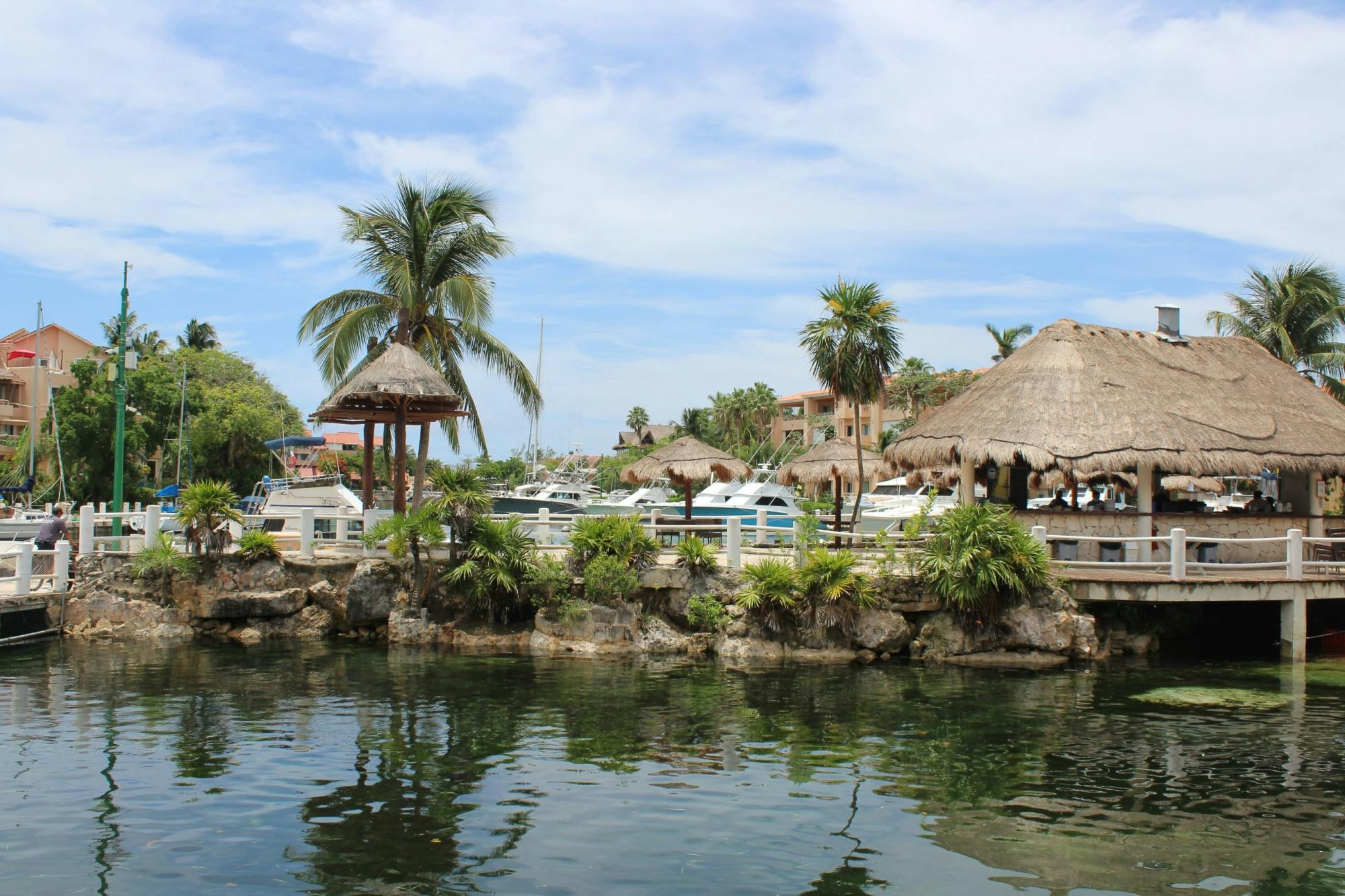 Swimming with dolphins and catamaran cruise at Puerto Aventuras