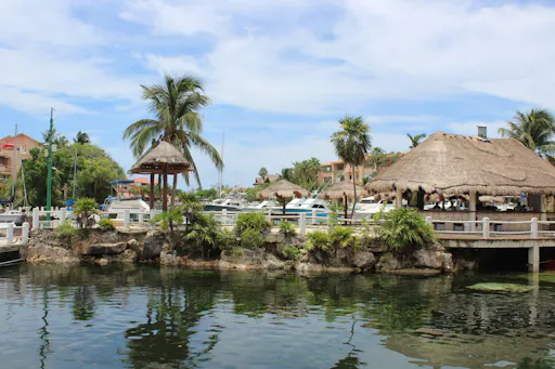Swimming with dolphins and catamaran cruise at Puerto Aventuras