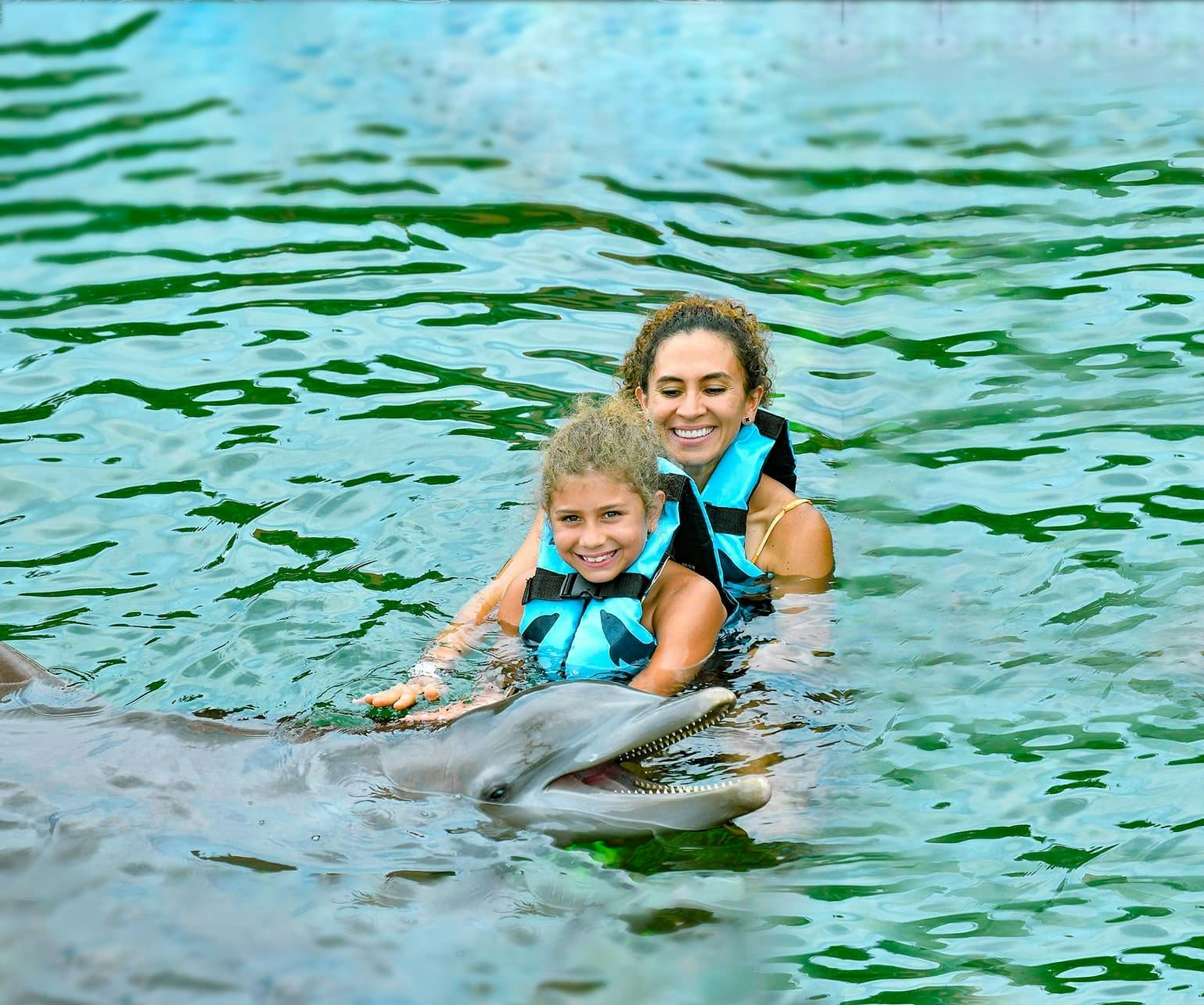 Swimming with dolphins and catamaran cruise at Puerto Aventuras