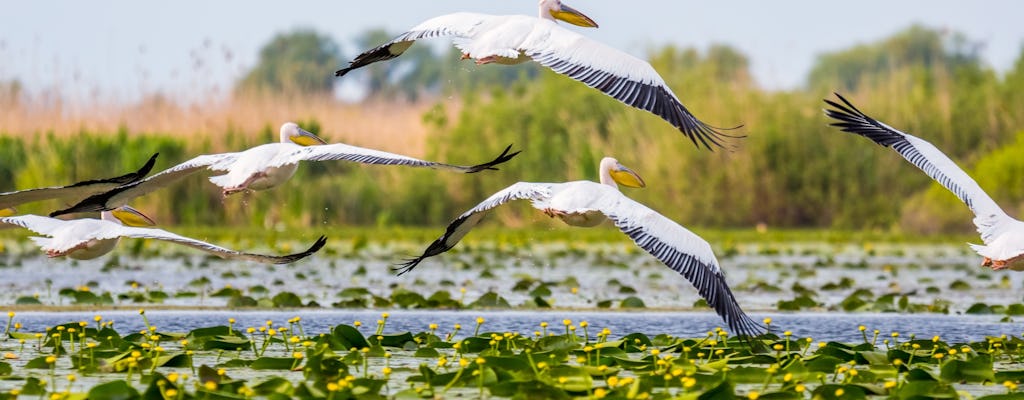 Escape to the Danube Delta tour