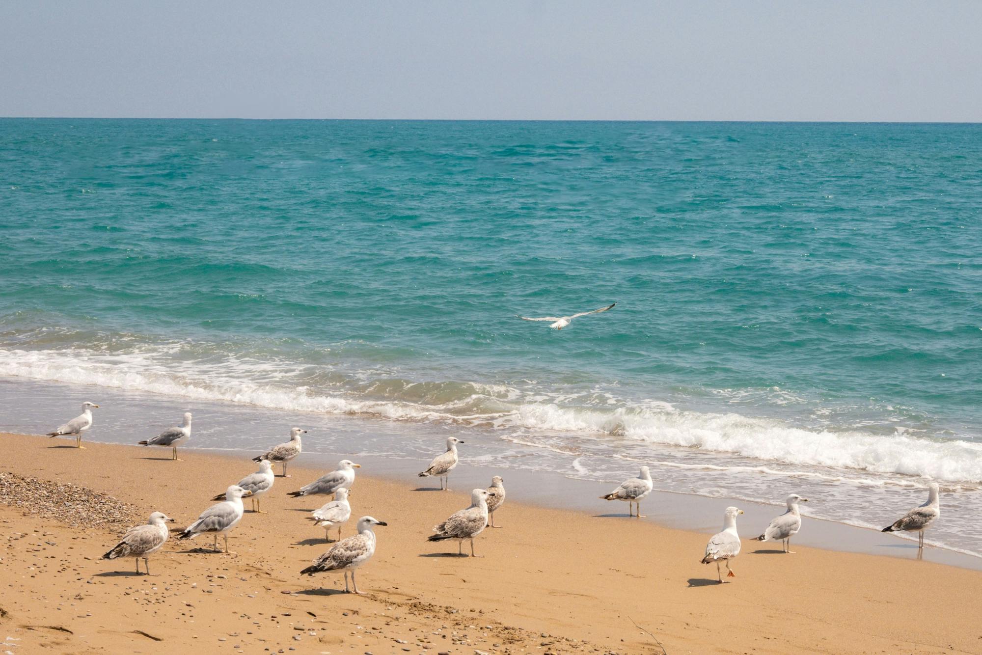 Manavgat Market & Waterfall Tour with Riverboat Cruise