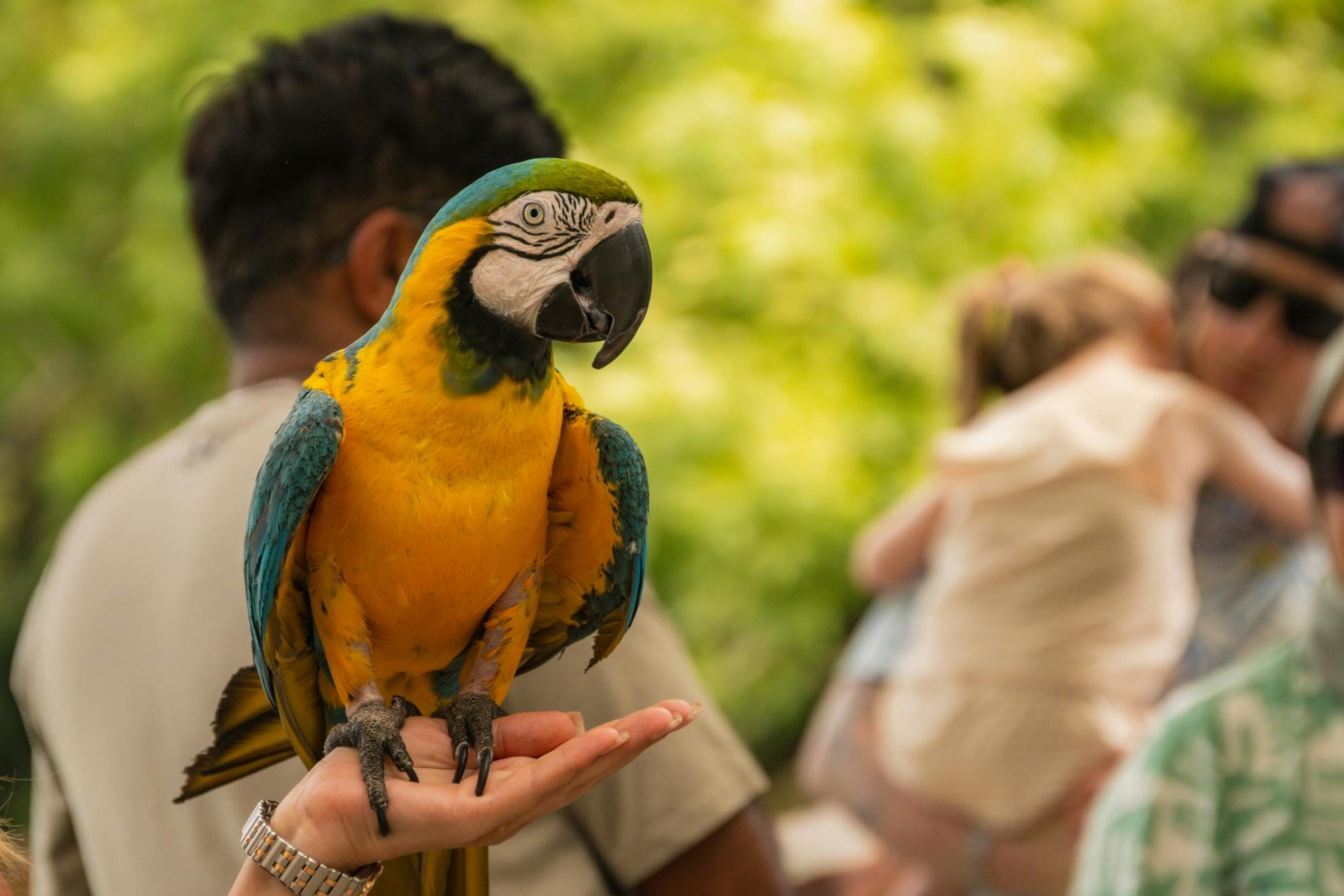 Manavgat Market & Waterfall Tour with Riverboat Cruise