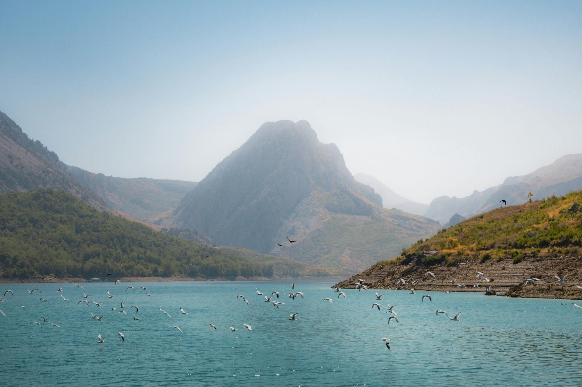 Green Canyon cruise and 4x4 tour with tree-planting