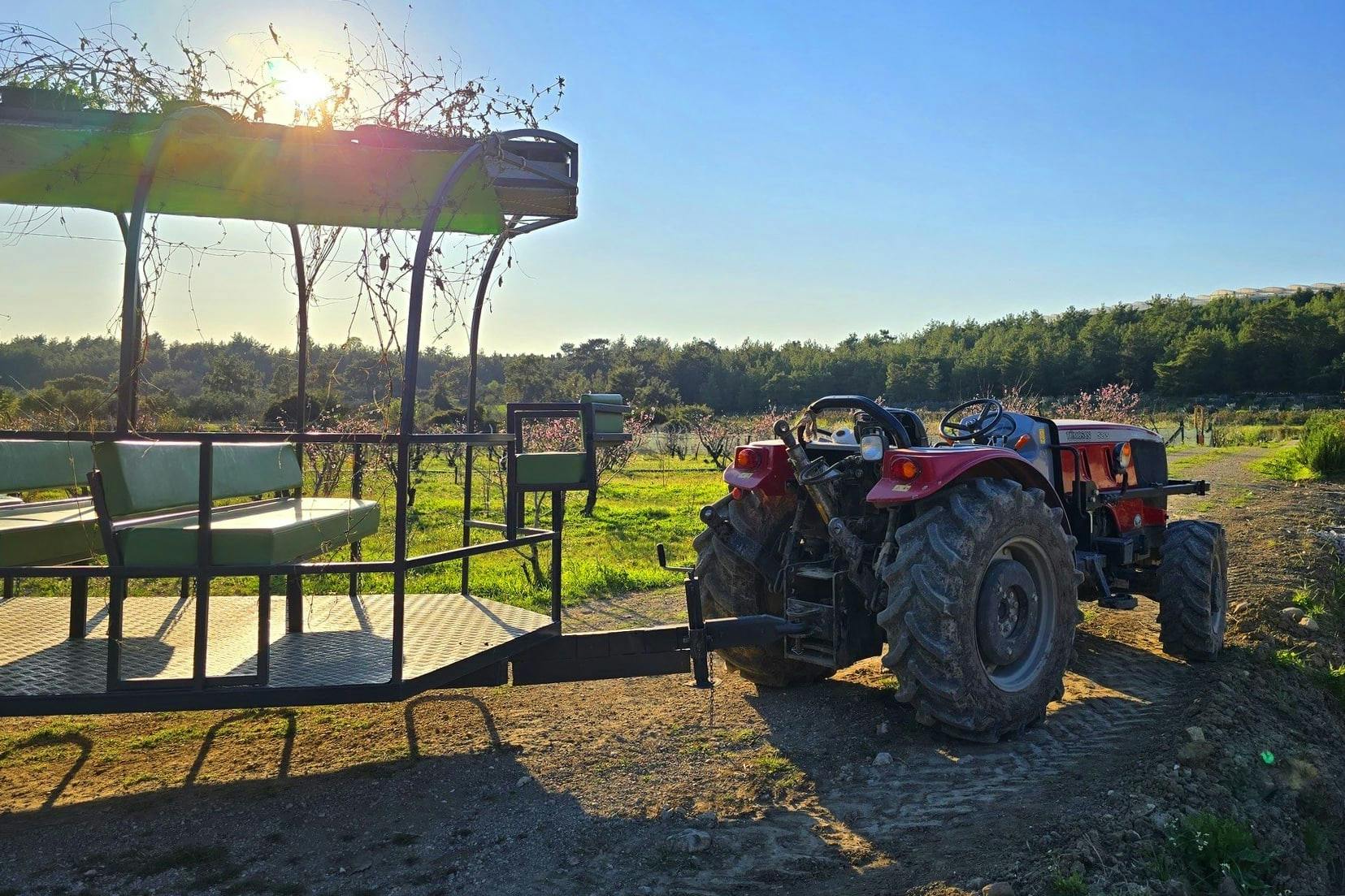 Turkey's Wonder Garden and tropical safari visit with lunch