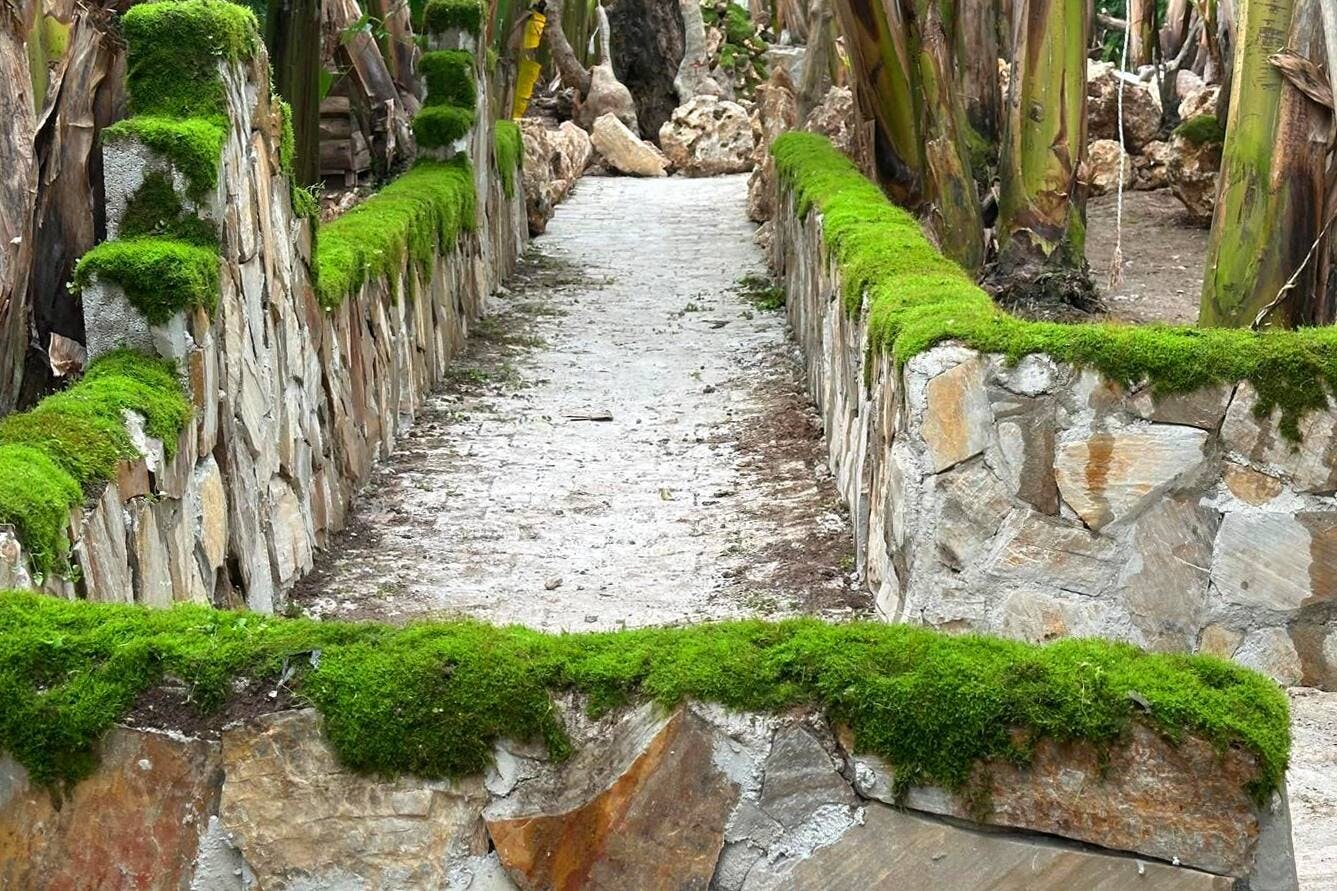 Turkey's Wonder Garden and tropical safari visit with lunch