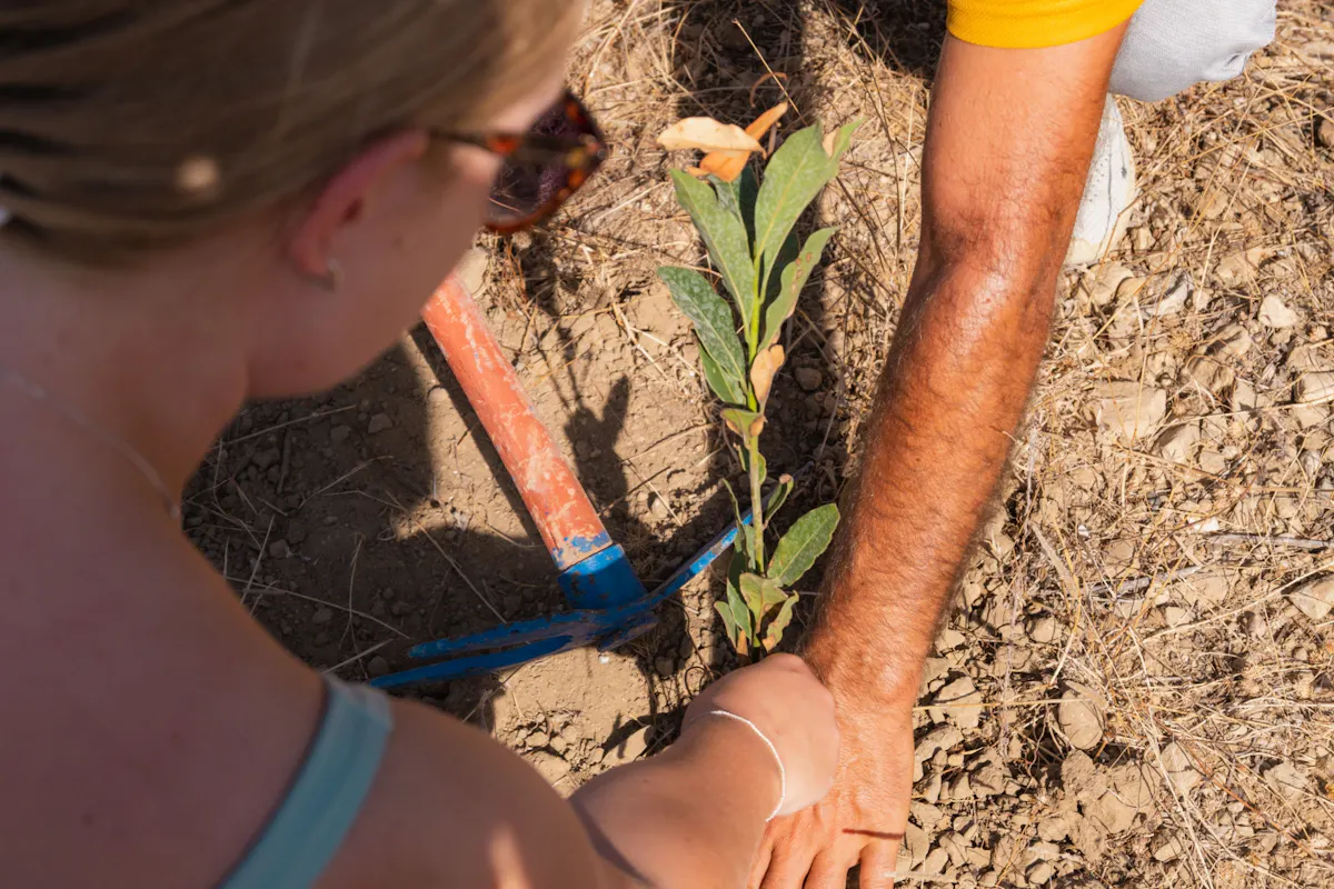 Green Canyon cruise and 4x4 tour with tree-planting