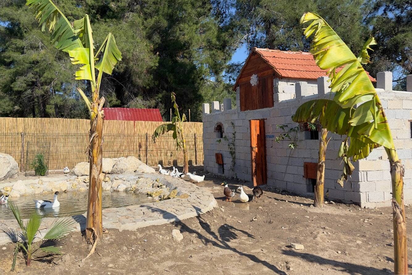 Turkey's Wonder Garden and tropical safari visit with lunch