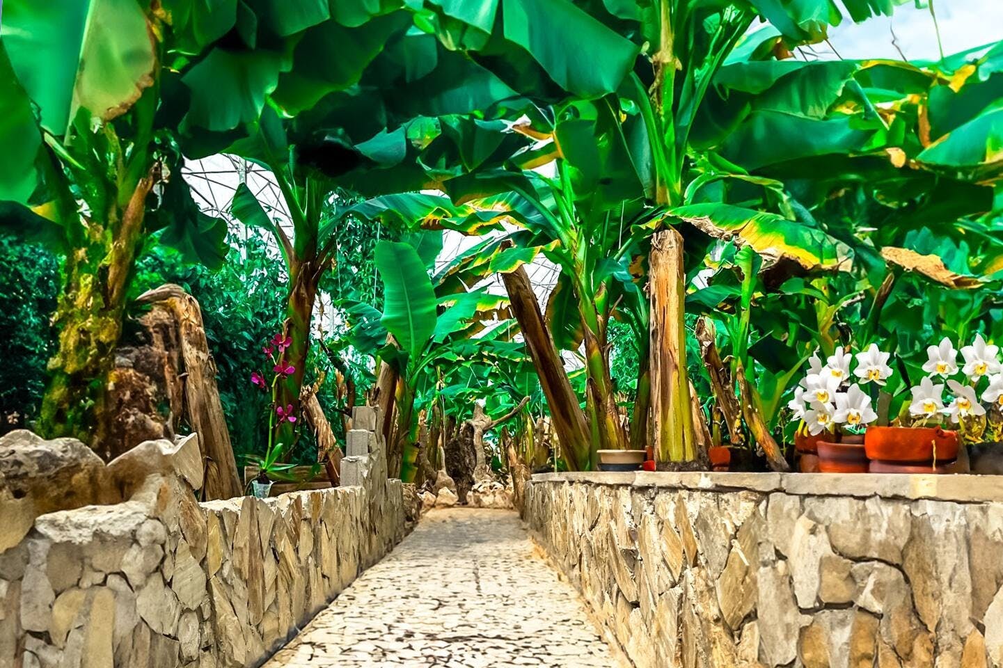 Turkey's Wonder Garden and tropical safari visit with lunch