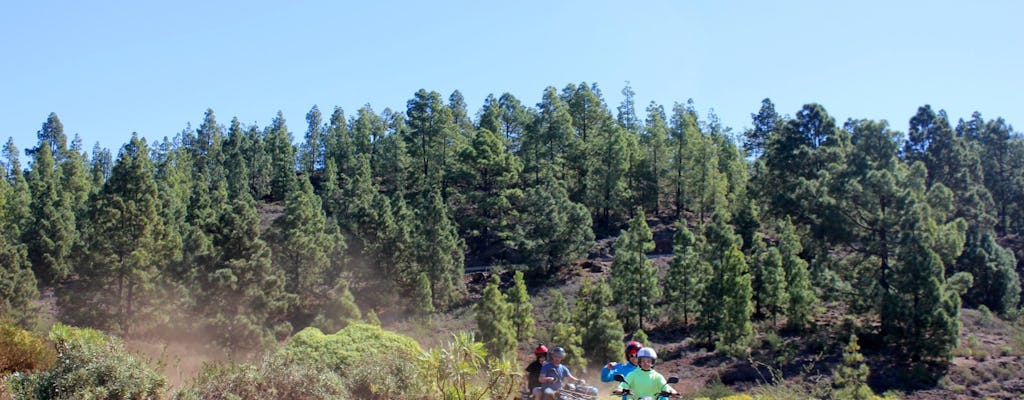 Teide Nationalpark på udflugt med quad