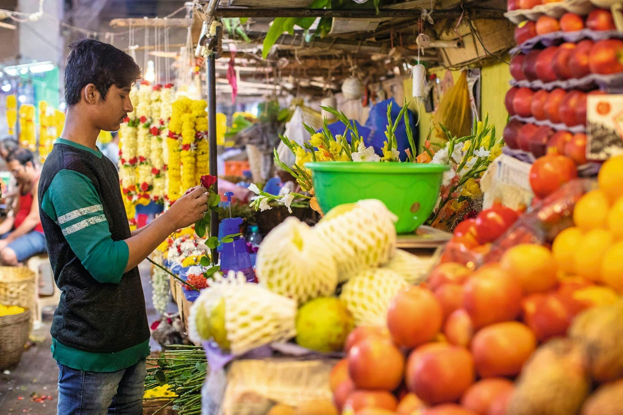 Historical old Goa tour with Basilica Bom Jesus and Panjim city